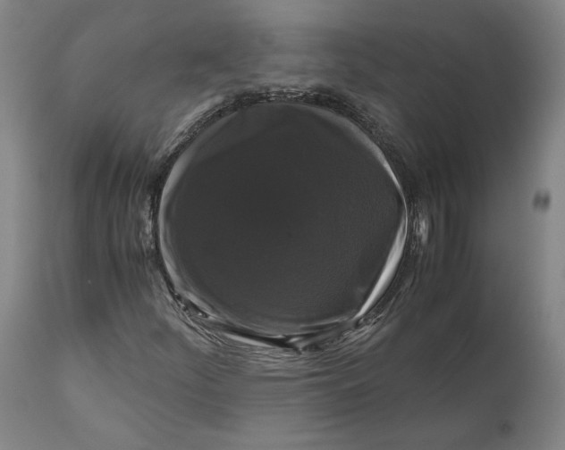 X0000111121252200907211042