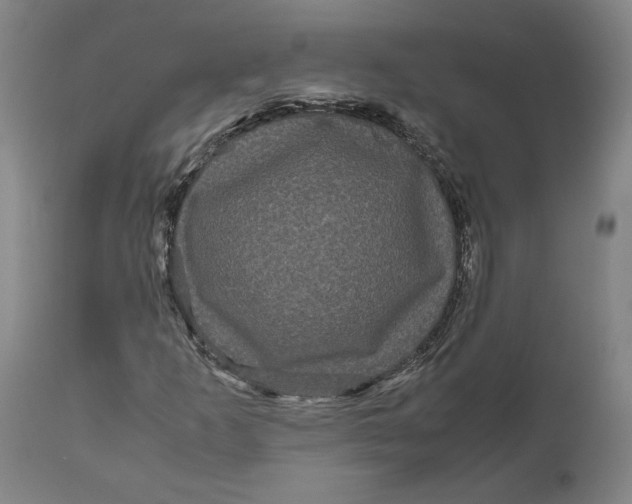 X0000111121253200907211042