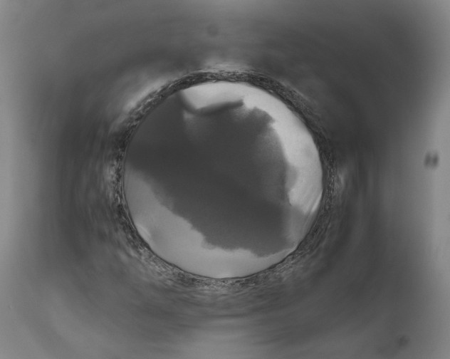 X0000111121254200907211042