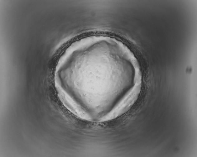 X0000111121255200907211042