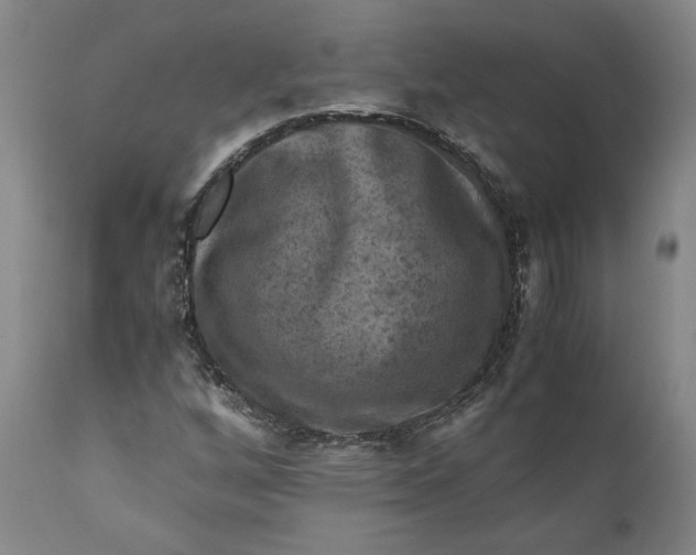 X0000111121256200907211042