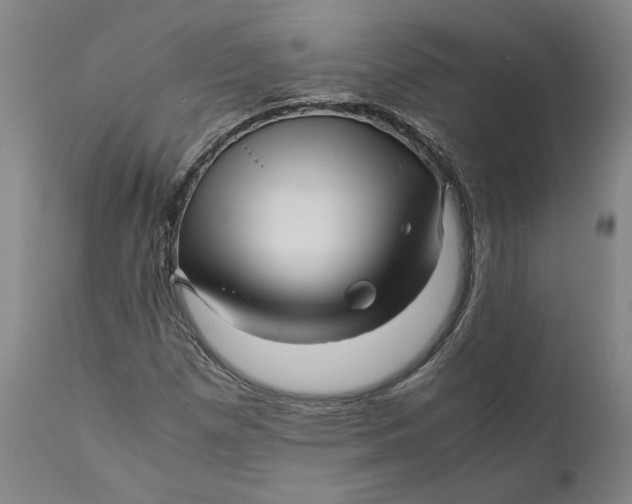 X0000111121257200907211042