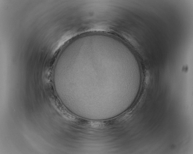 X0000111121258200907211042