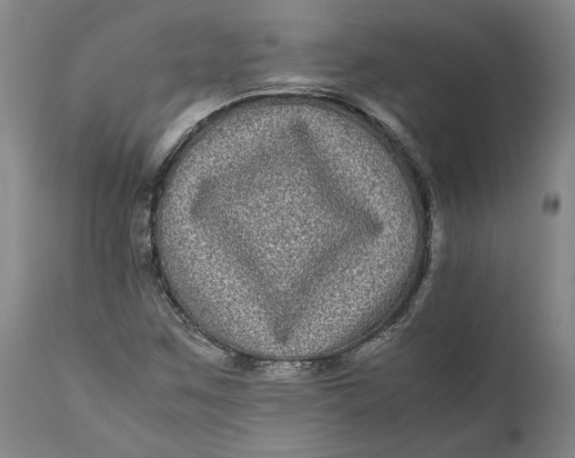 X0000111121259200907211042