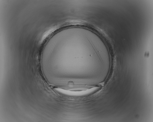 X0000111121261200907211042