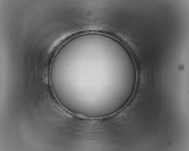 X0000111121262200907211042