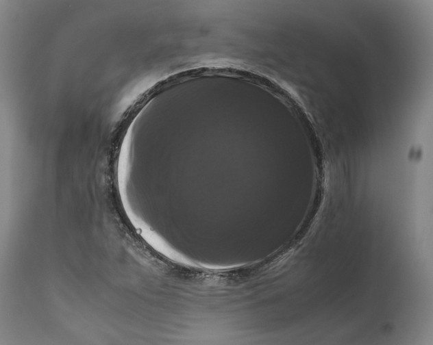 X0000111121263200907211042