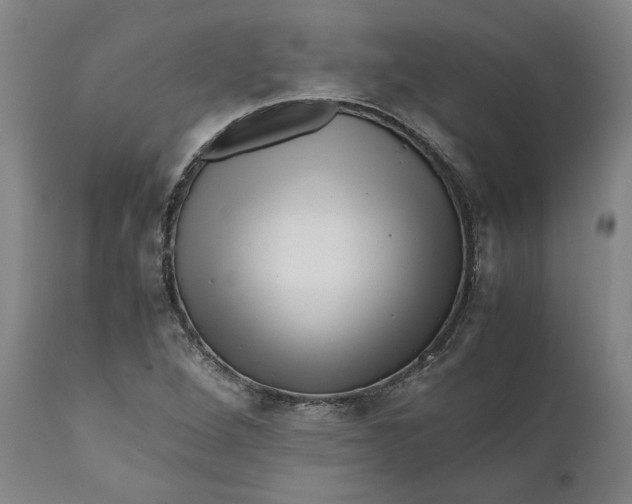 X0000111121264200907211042