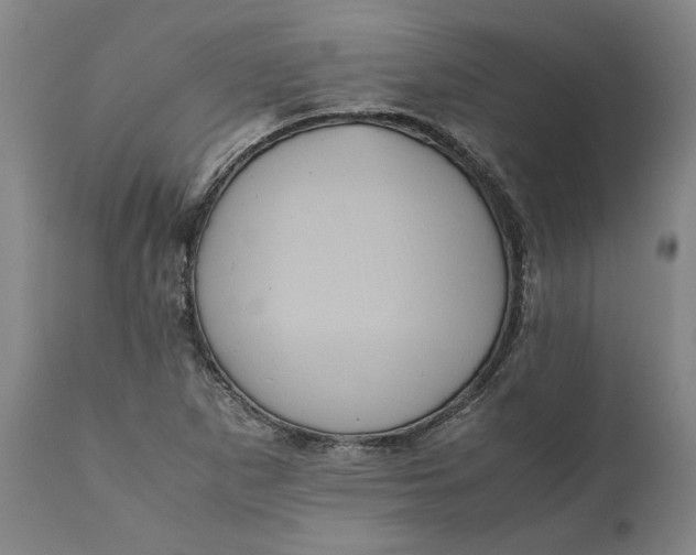 X0000111121265200907211042