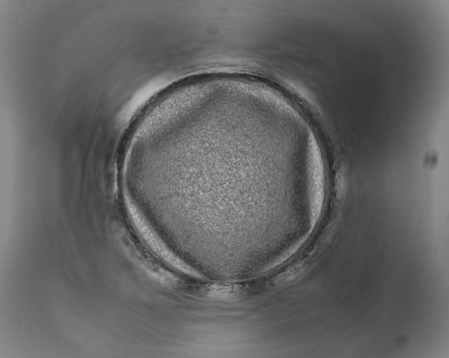 X0000111121267200907211042