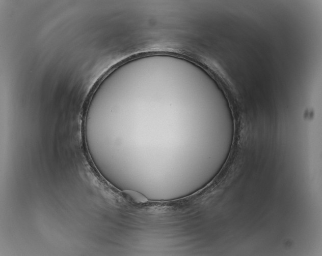 X0000111121268200907211042