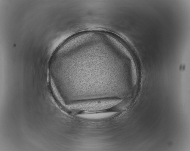 X0000111121269200907211042