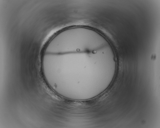 X0000111121270200907211042