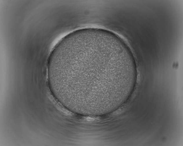 X0000111121271200907211042