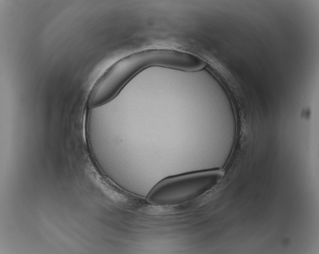 X0000111121272200907211042