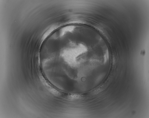 X0000111121274200907211042