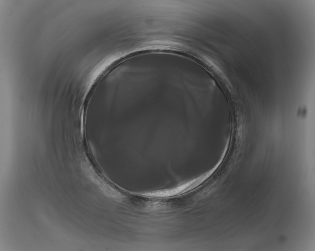 X0000111121275200907211042