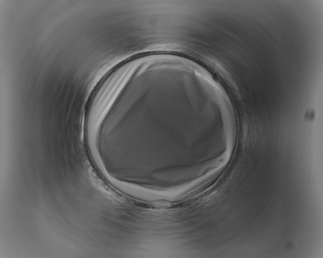 X0000111121276200907211042