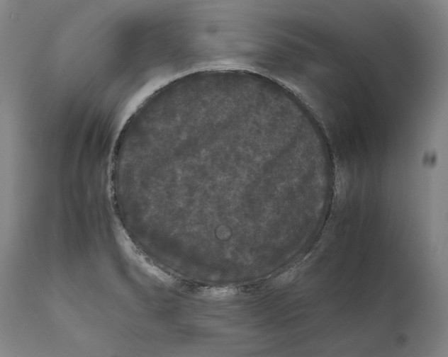 X0000111121278200907211041