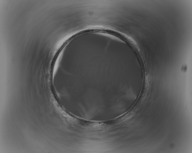 X0000111121279200907211041