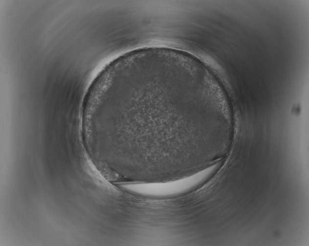 X0000111121280200907211041