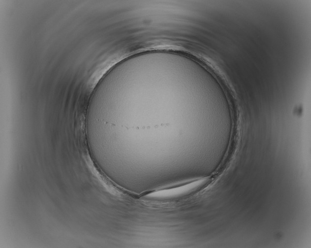 X0000111121281200907211041