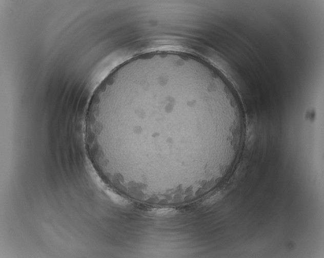 X0000111121282200907211041