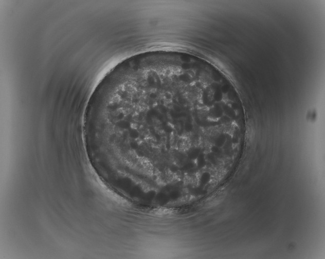 X0000111121283200907211041