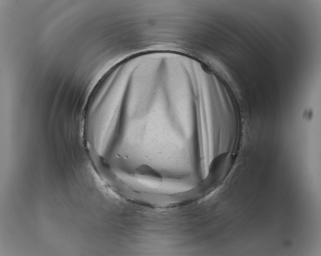 X0000111121284200907211041