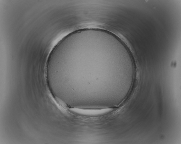 X0000111121285200907211041