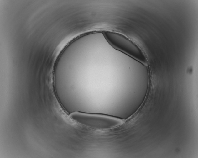 X0000111121288200907211041