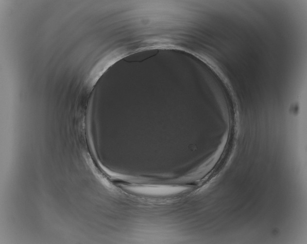 X0000111121289200907211041