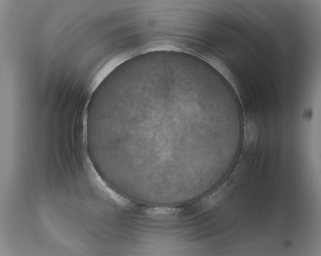 X0000111121290200907211041