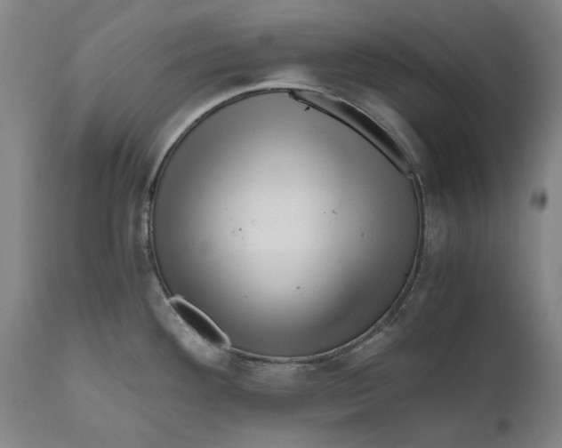 X0000111121292200907211041