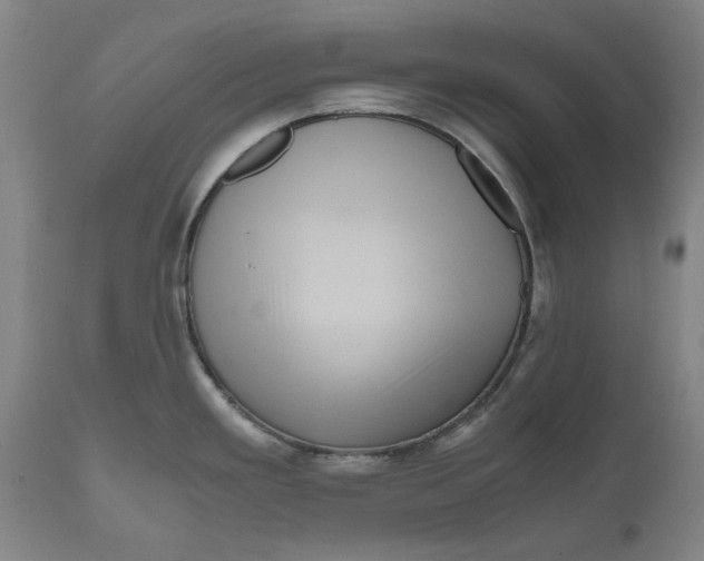 X0000111121293200907211041