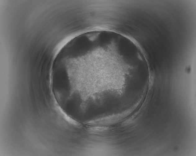 X0000111121294200907211041