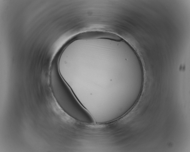 X0000111121296200907211041