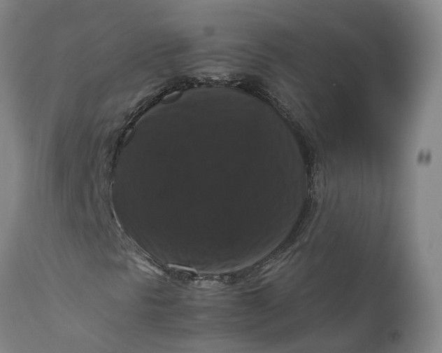 X0000111121297200907211040