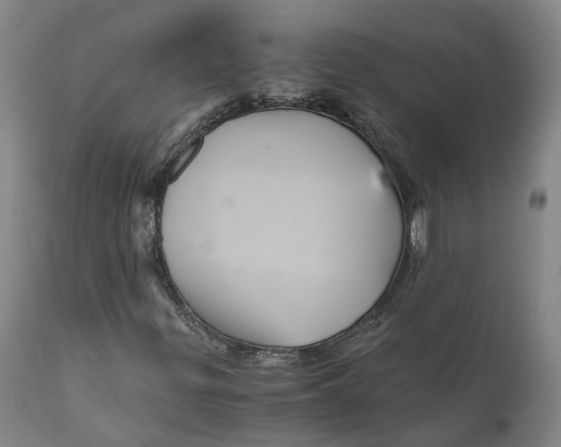 X0000111121299200907211040