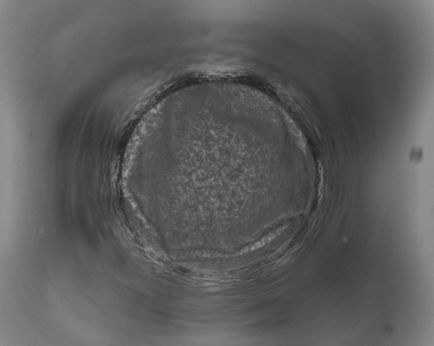 X0000111121300200907211040