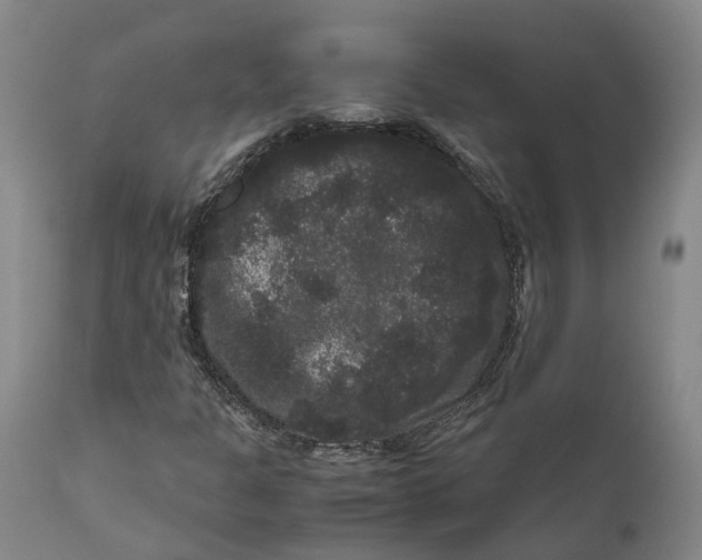 X0000111121301200907211040