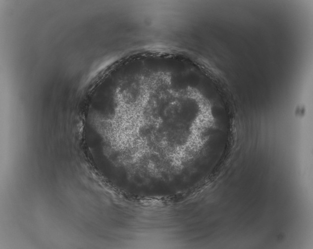 X0000111121302200907211040