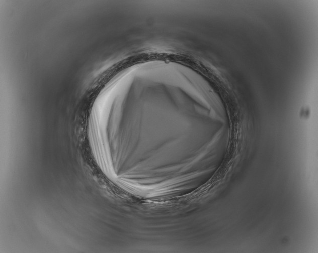 X0000111121303200907211040