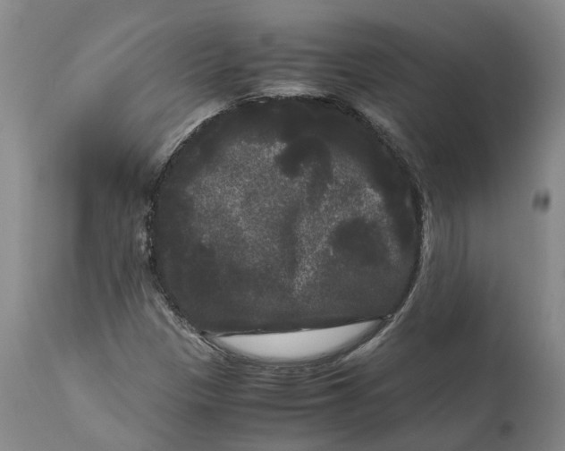 X0000111121305200907211041