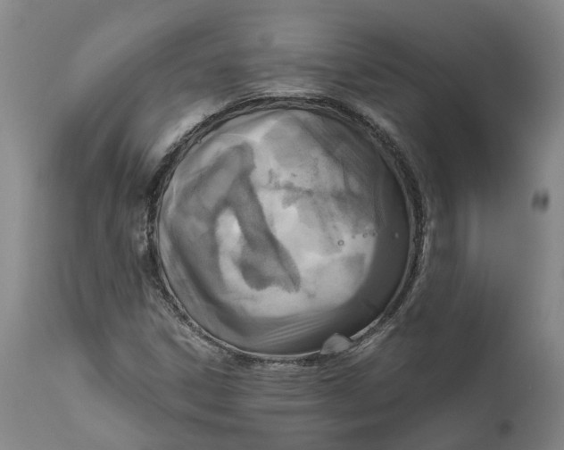 X0000111121306200907211041