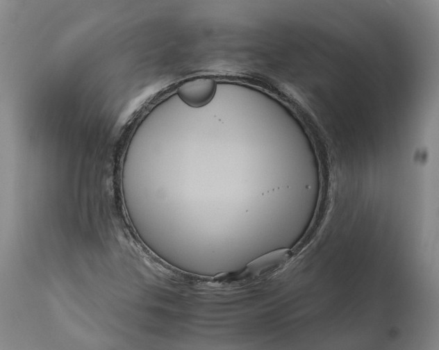 X0000111121307200907211041