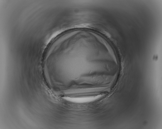 X0000111121308200907211041