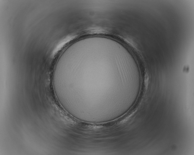 X0000111121309200907211041