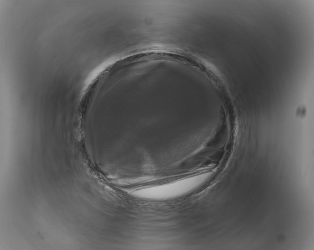 X0000111121310200907211041