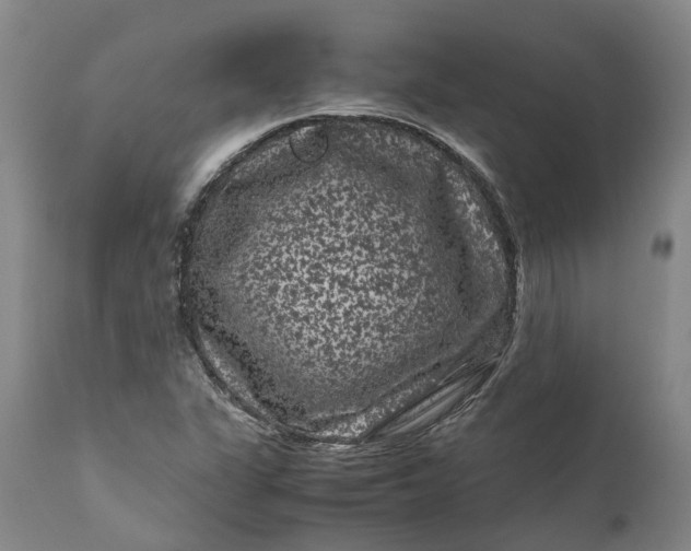 X0000111121311200907211041